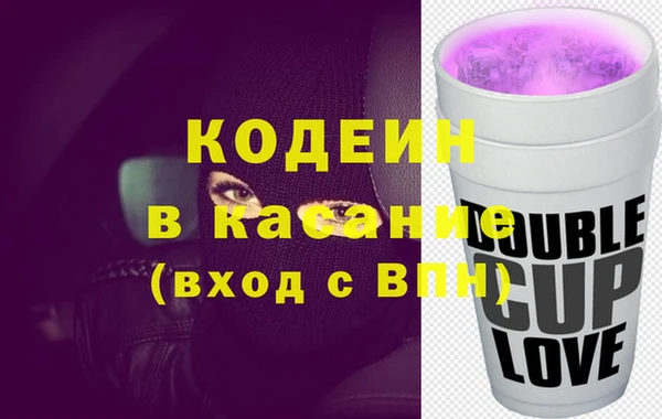 прущие грибы Краснотурьинск