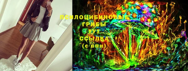 дживик Краснослободск
