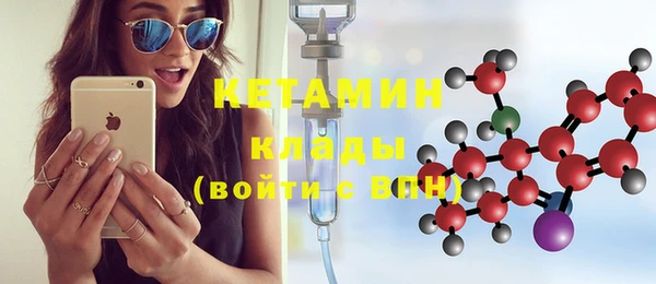 прущие грибы Краснотурьинск