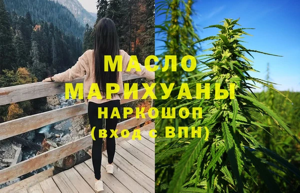 дживик Краснослободск