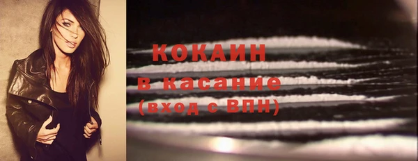 прущие грибы Краснотурьинск