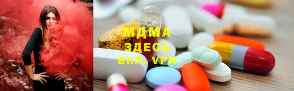 прущие грибы Краснотурьинск