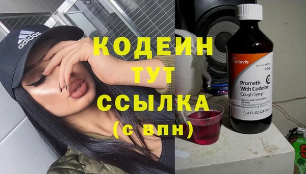 дживик Краснослободск