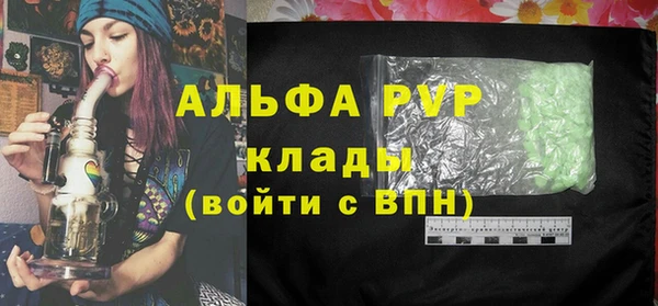 дживик Краснослободск