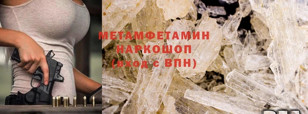 прущие грибы Краснотурьинск