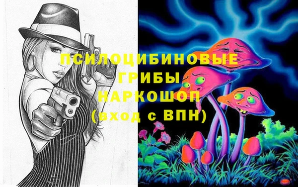 дживик Краснослободск