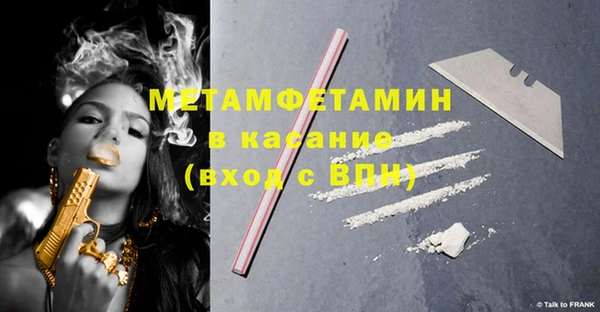 прущие грибы Краснотурьинск