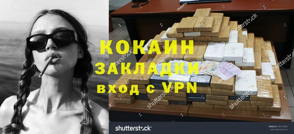 прущие грибы Краснотурьинск