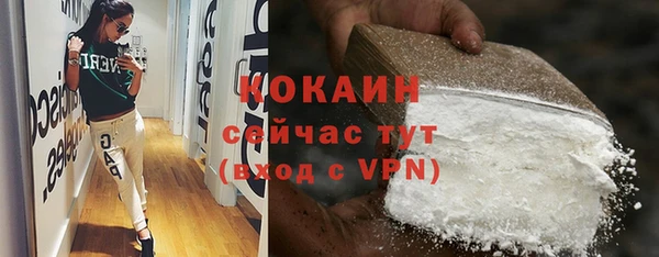 дживик Краснослободск