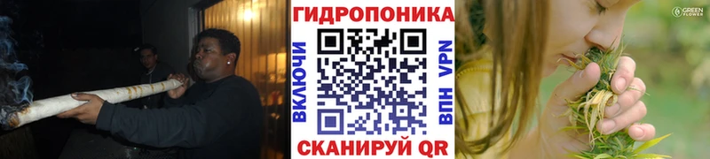 Канабис планчик это состав Смоленск